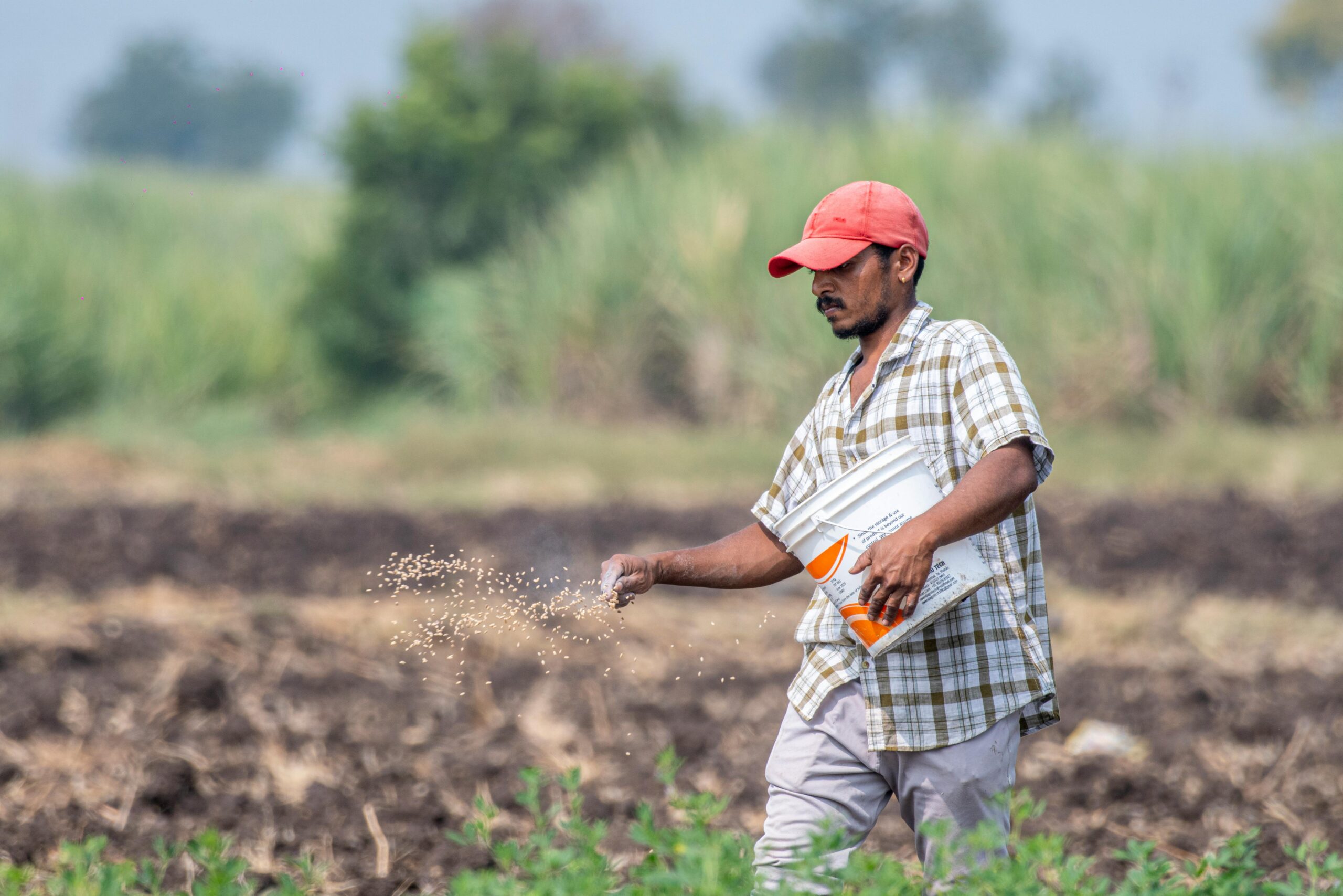 A farmer in Pune, India, sowing seeds in a sunlit agricultural field.